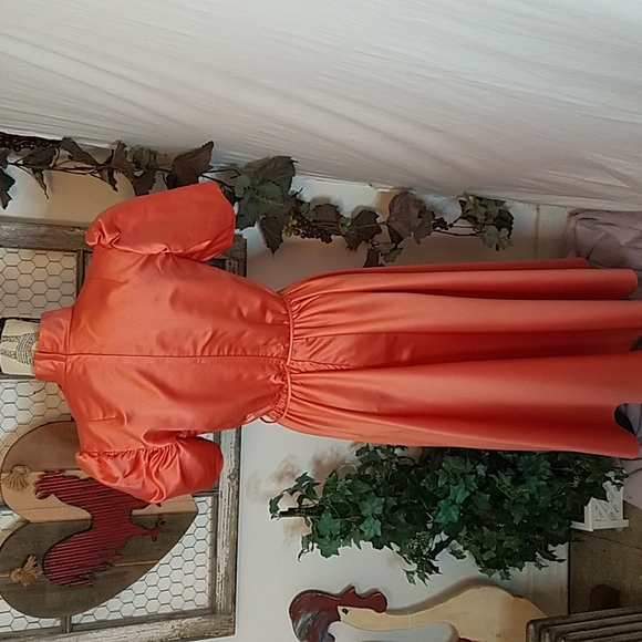 VINTAGE House of Bianchi Dress - Picture 5 of 10